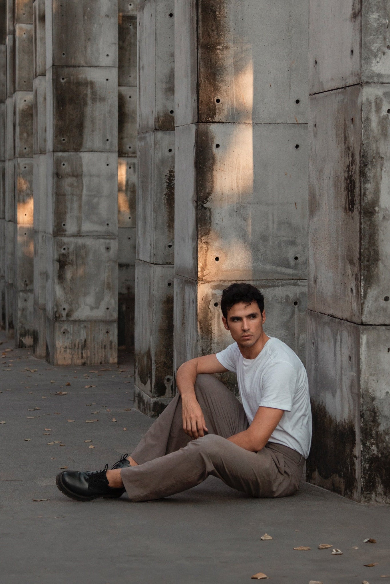 Moises