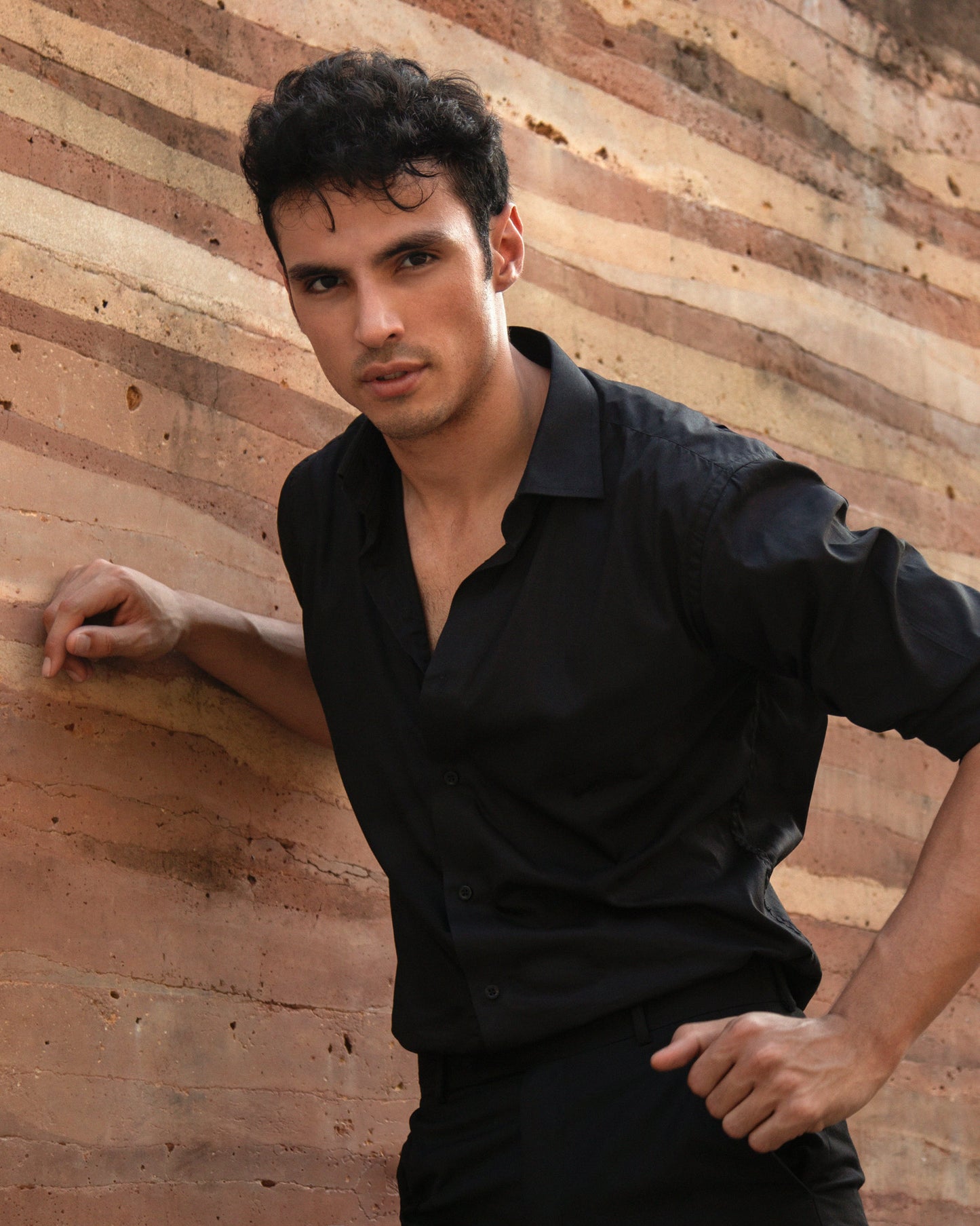 Moises